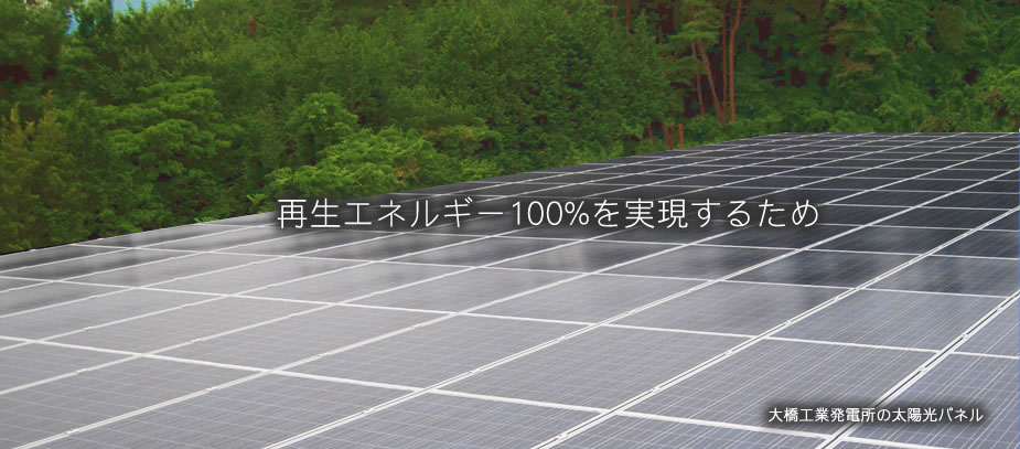 ͥ륮100%¸뤿᡿綶ȯŽ۸ѥͥ